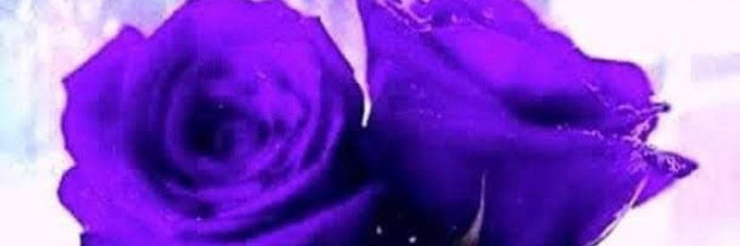 divu123's profile banner image