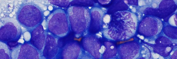 TashakoriM Profile Banner