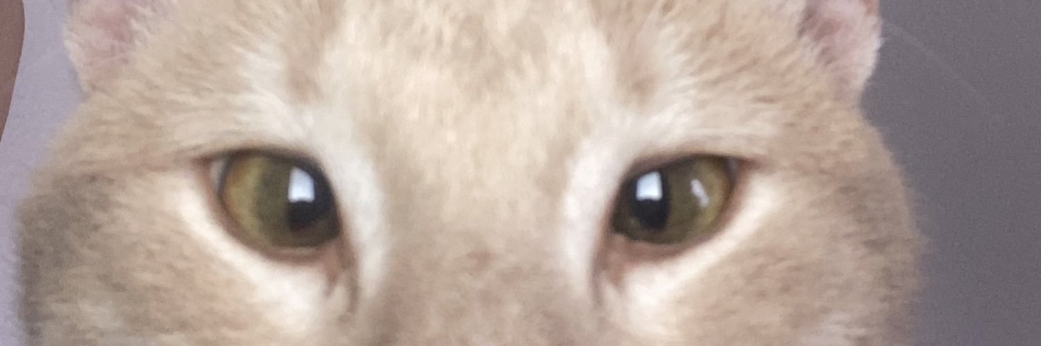 𓆩222𓆪 banner