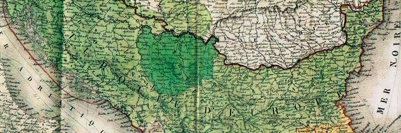 timocanin's profile banner image