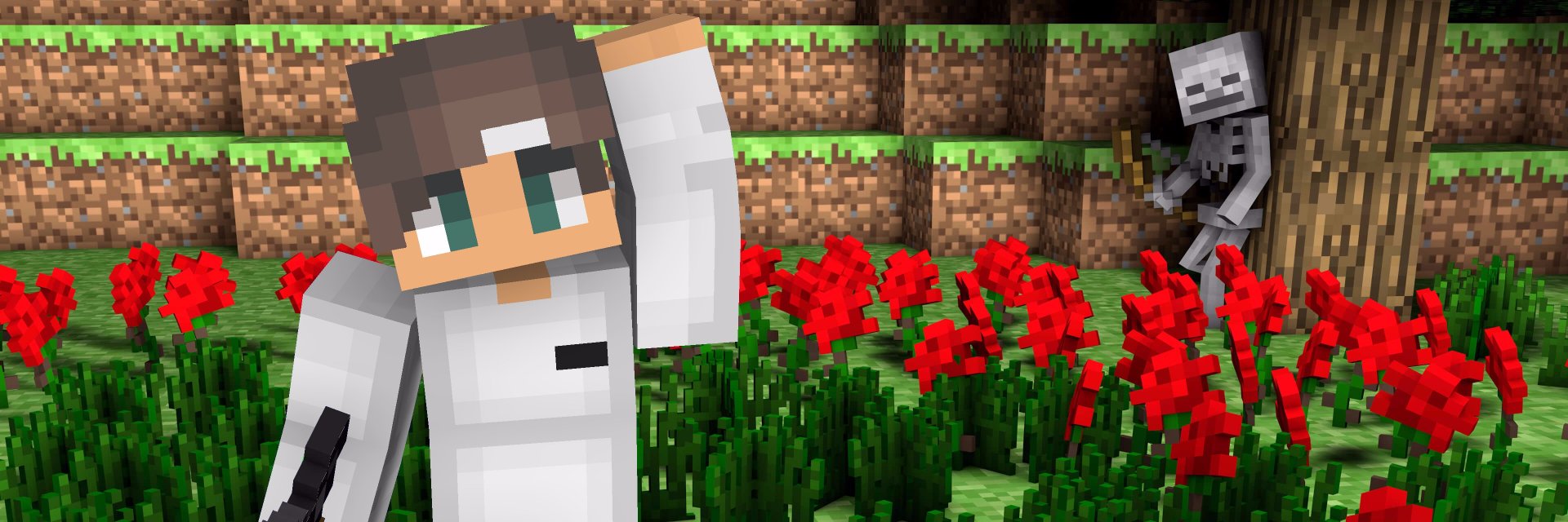 SpxcerHD's profile banner image