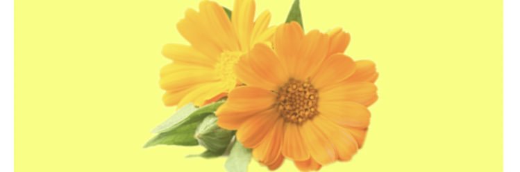 ako19651's profile banner image