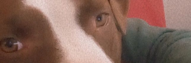 sobinrampson's profile banner image