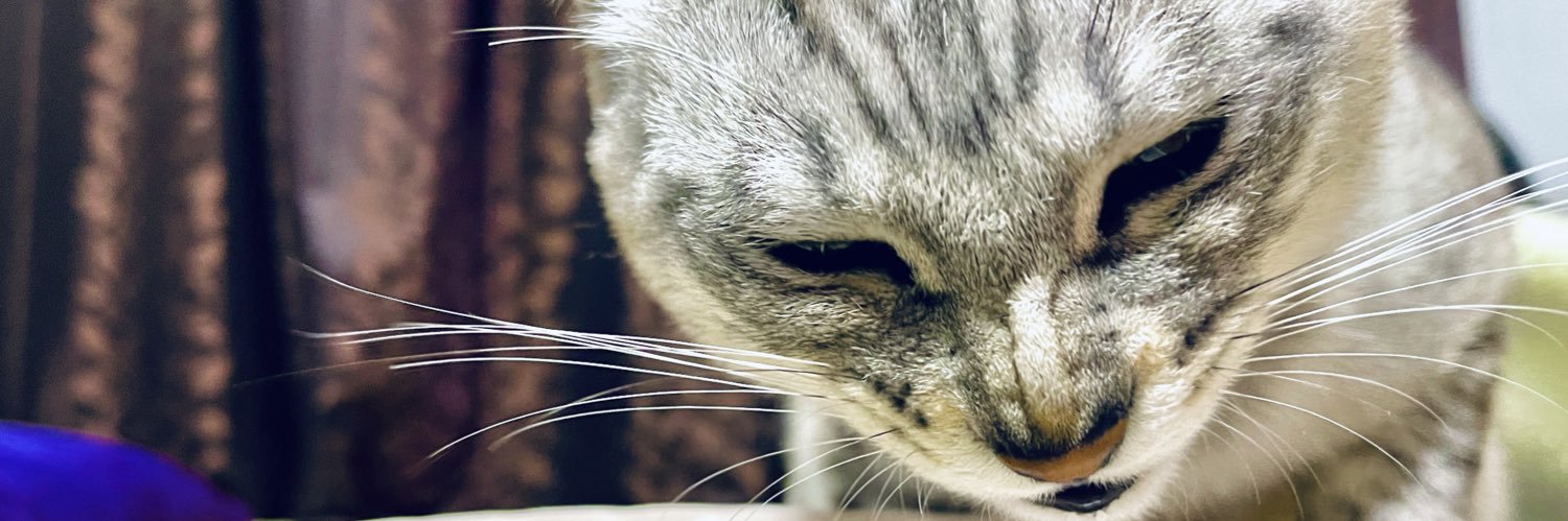 てしままさお banner