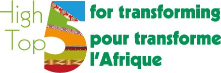 Gabriel Negatu banner