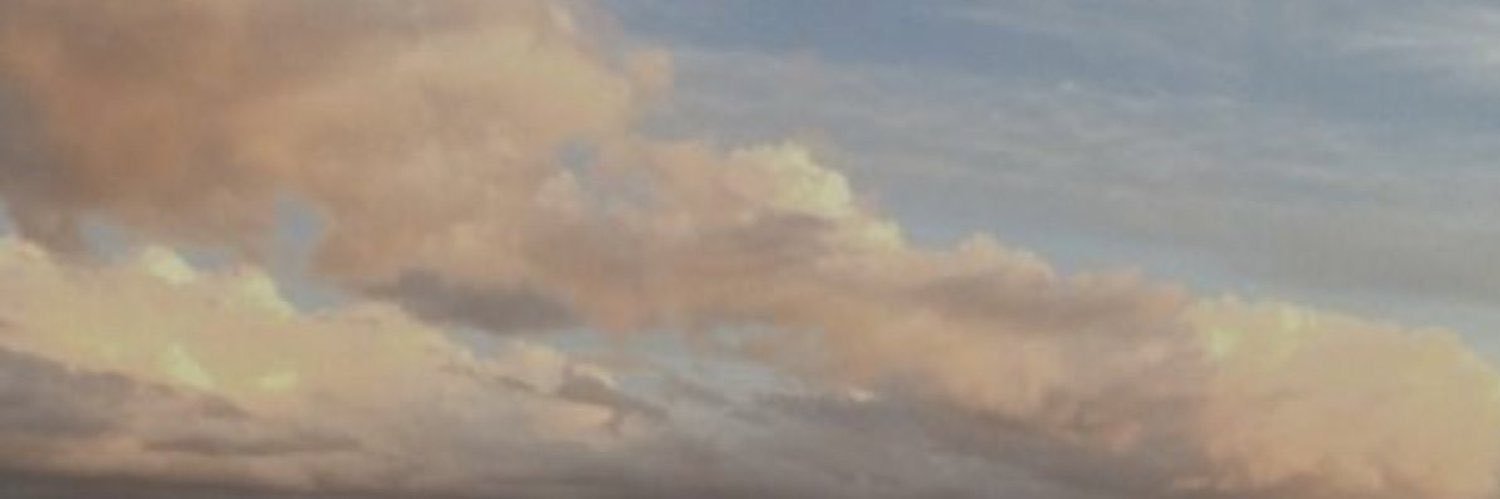 echaslyn's profile banner image