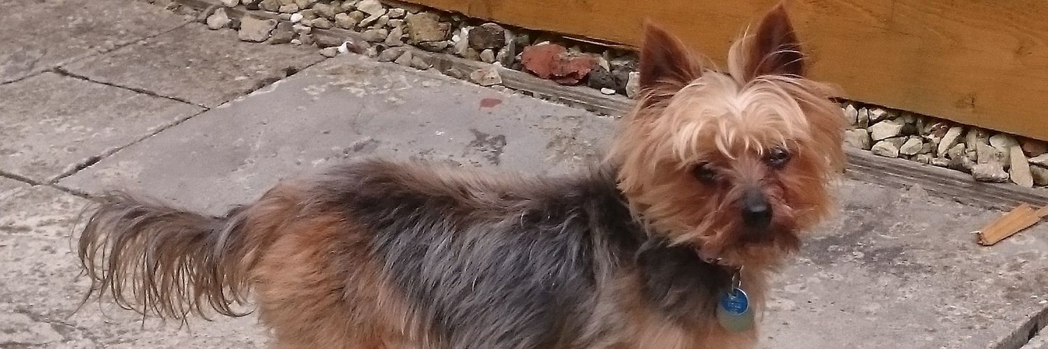 JamesRobin83's profile banner image