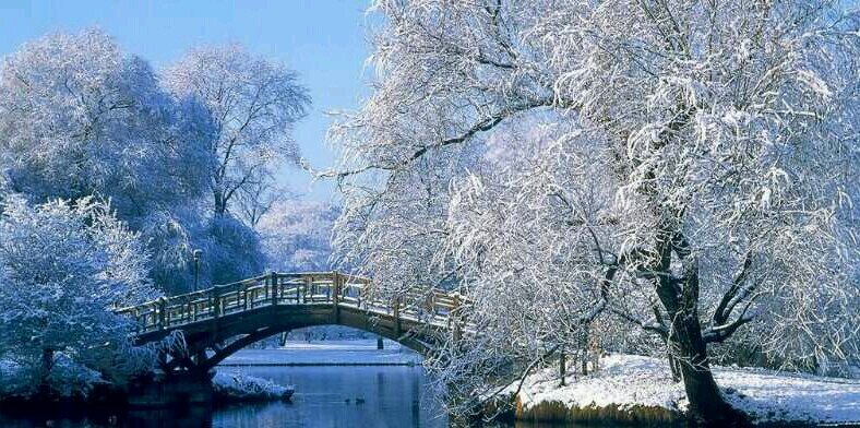 Guillermo Manzo banner