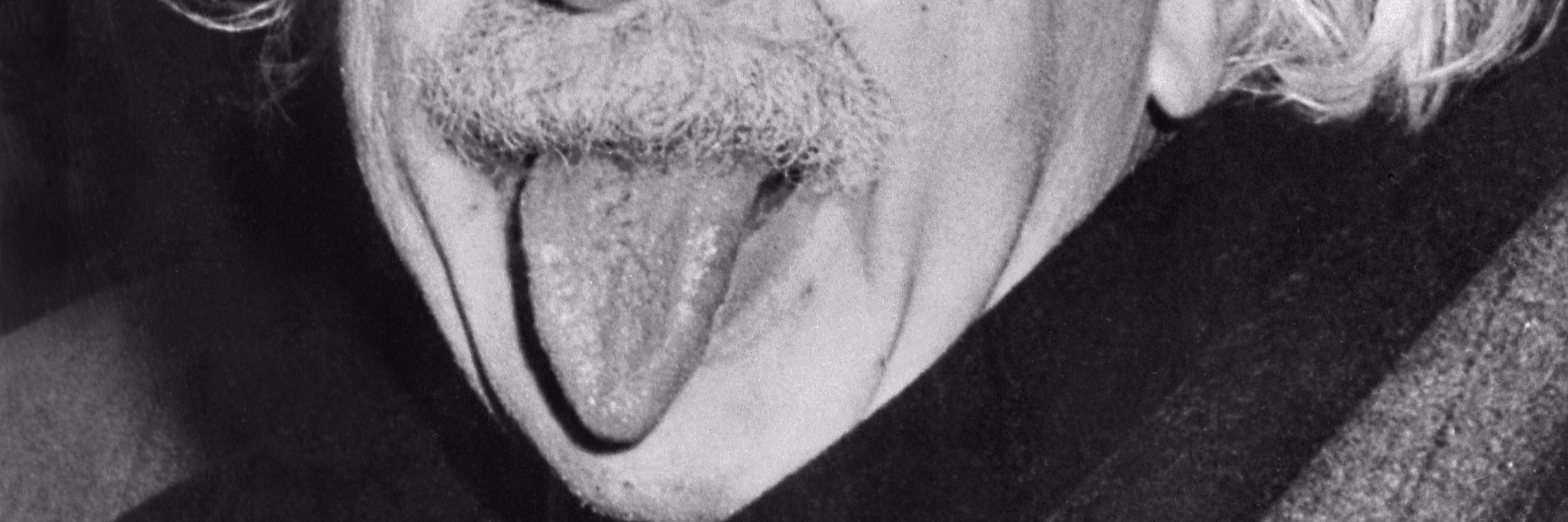 Renaud Février banner