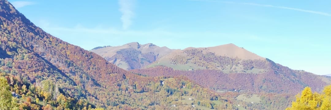 ChartersPPC's profile banner image