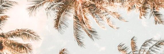 michaela_orth's profile banner image
