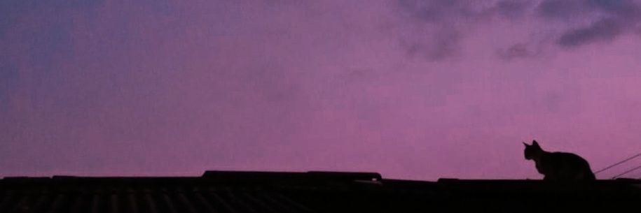 mitagustiani's profile banner image