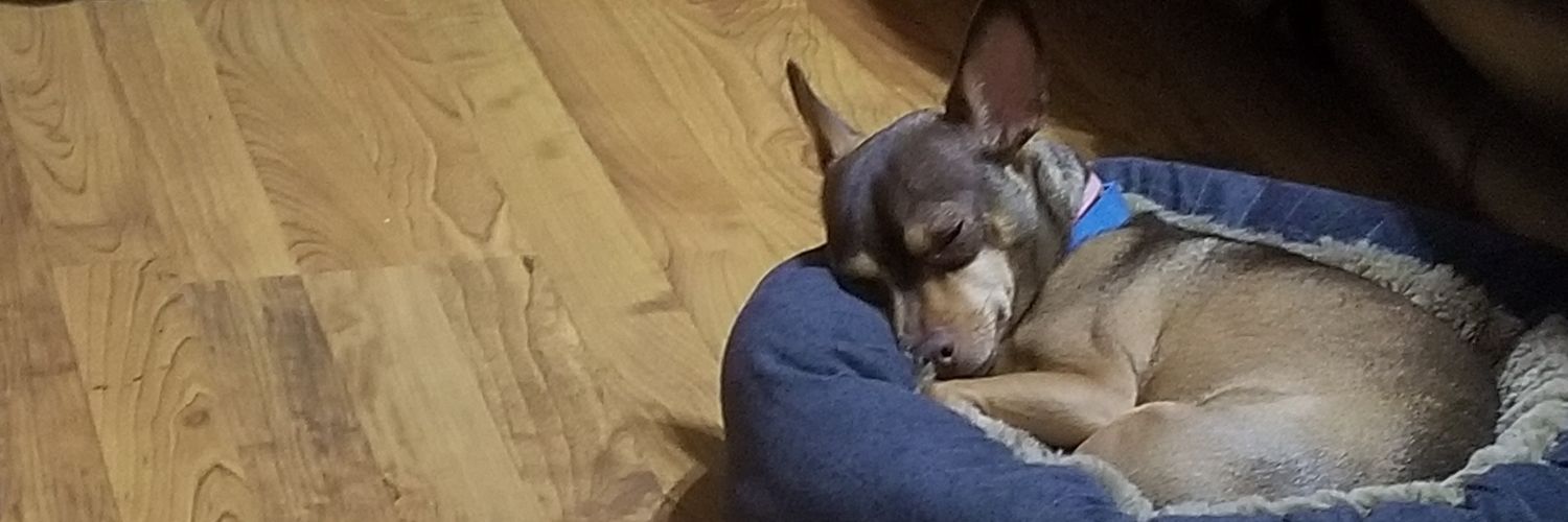 silly_willie's profile banner image
