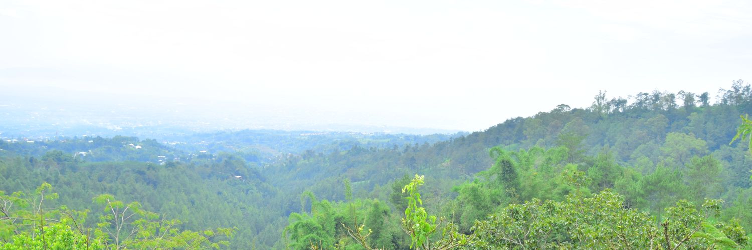 chlftnnisaa's profile banner image