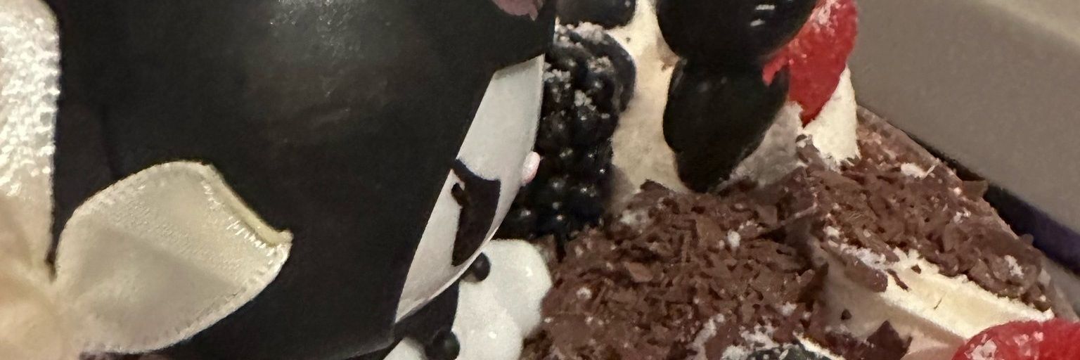 leeknowbless's profile banner image