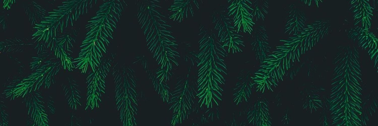 Teploukhovf's profile banner image