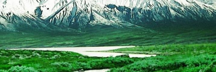 دلال الشمري banner