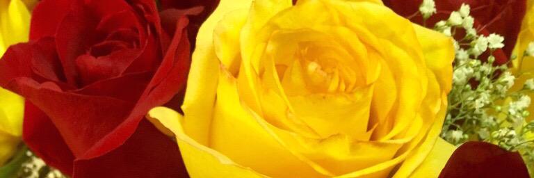 MILENE81's profile banner image