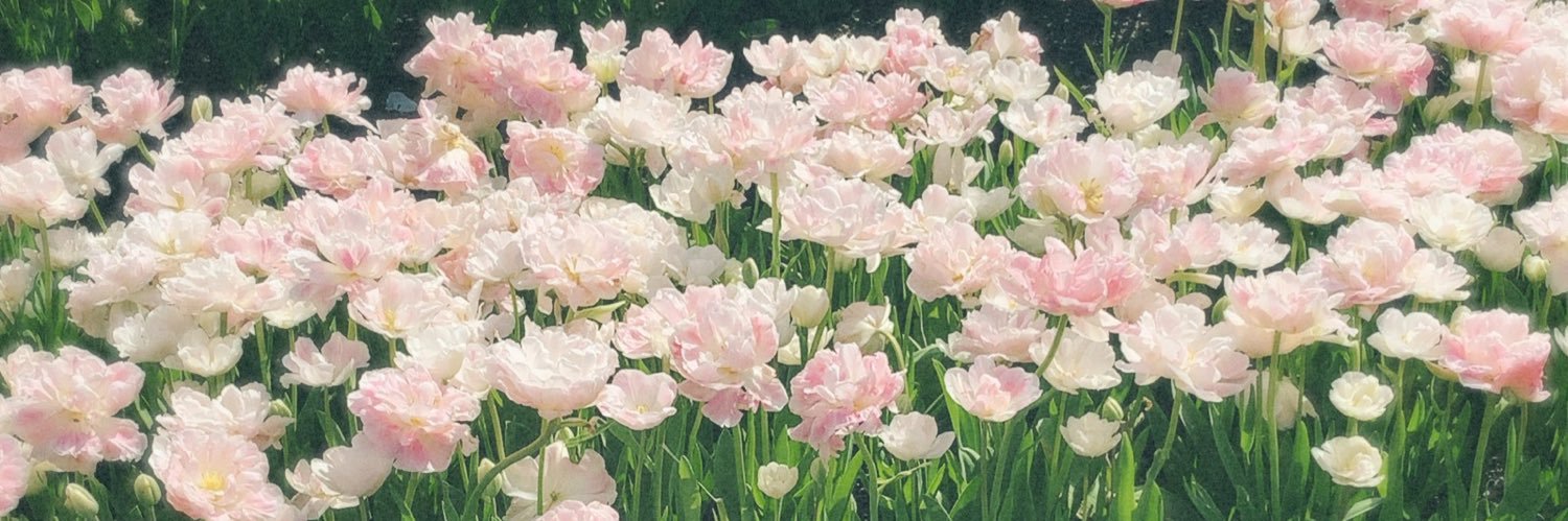 22__rina's profile banner image