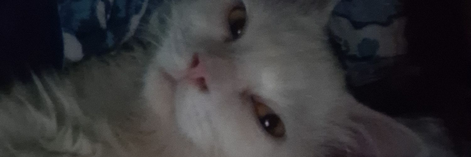 spicychmkn's profile banner image