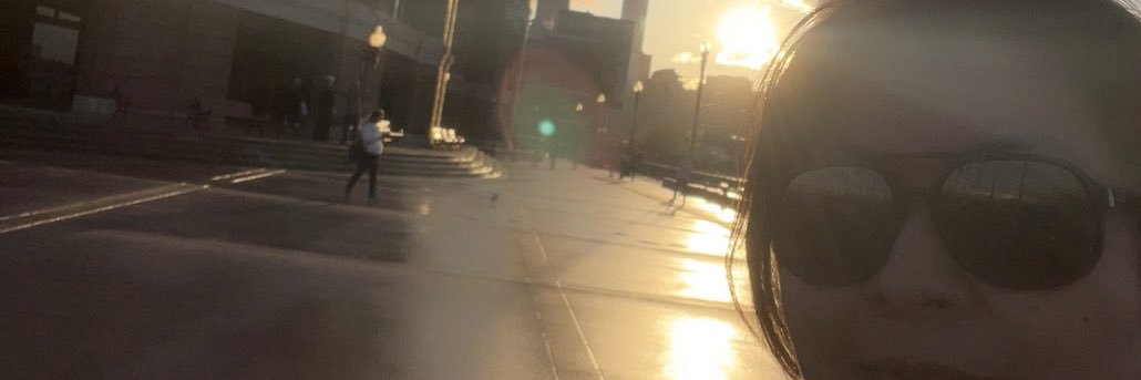 lardicas's profile banner image
