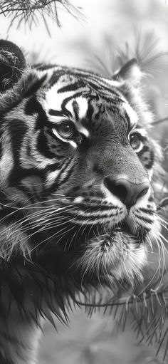 KeithKnight57's profile banner image