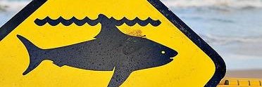 Tigershark banner