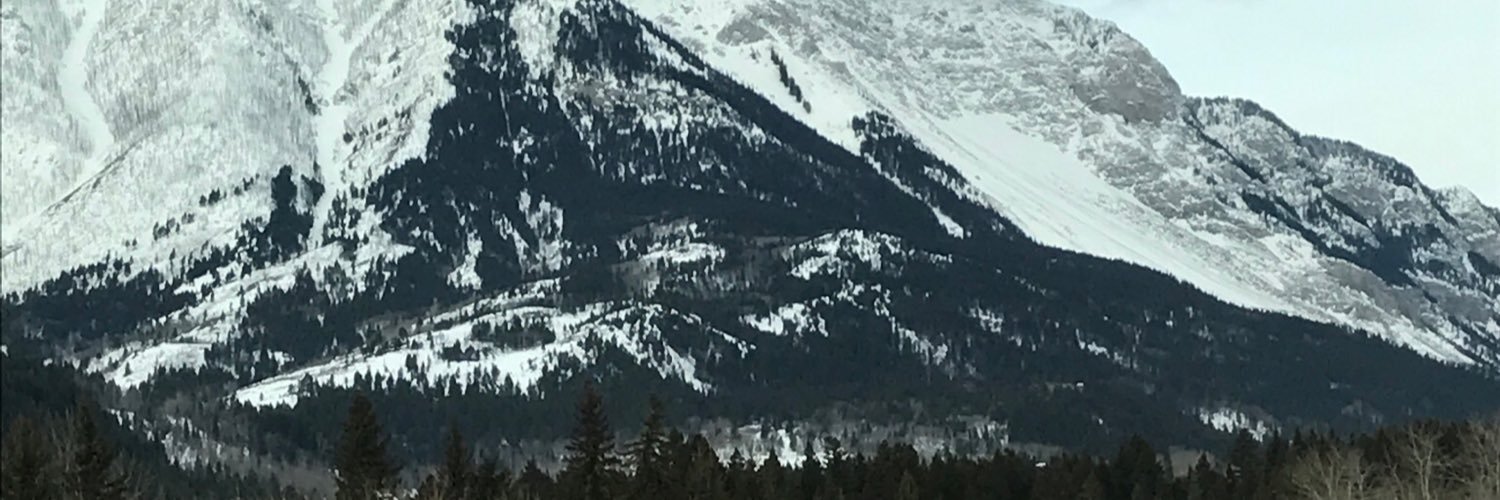 1_simone_1's profile banner image