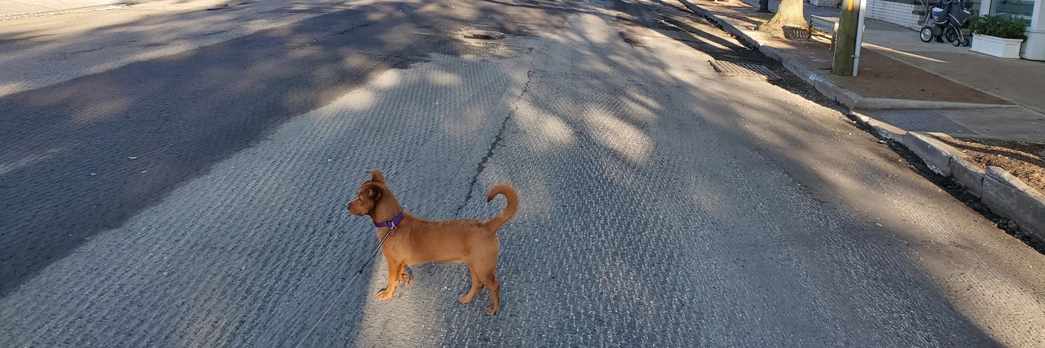 likelytilted's profile banner image
