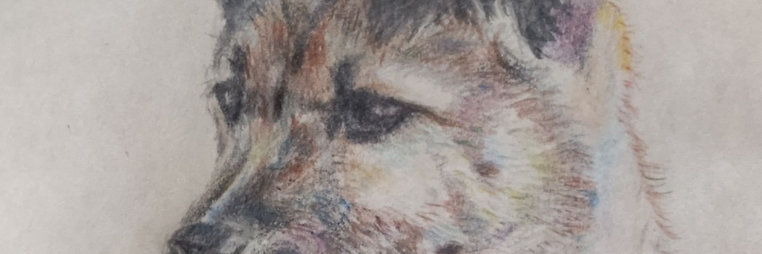 kotochant's profile banner image