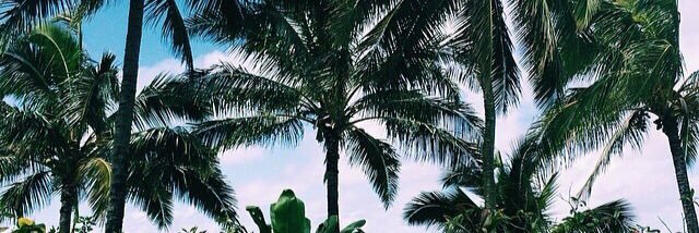 Demi banner