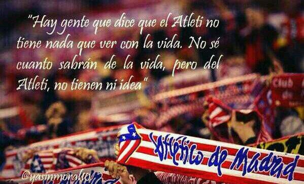 pantic436's profile banner image