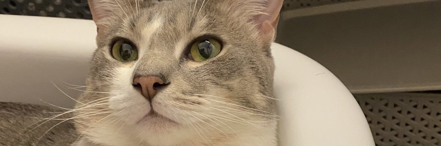 aaailenmicaela's profile banner image