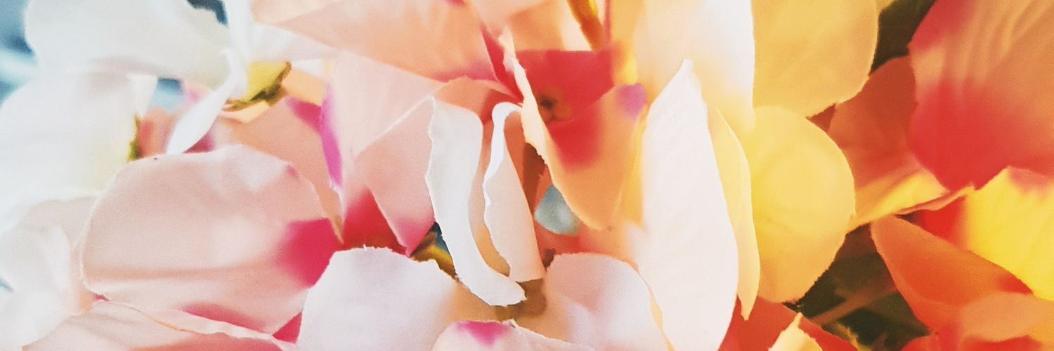 danrebuelta's profile banner image