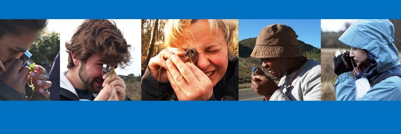 Plant Diversity at UoR banner