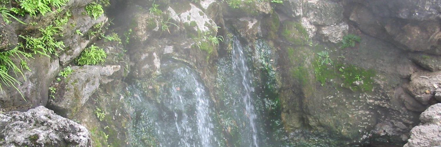 Hot Springs banner