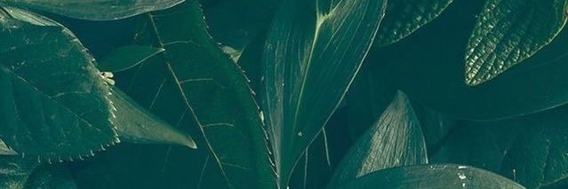 LaurenNitcher's profile banner image