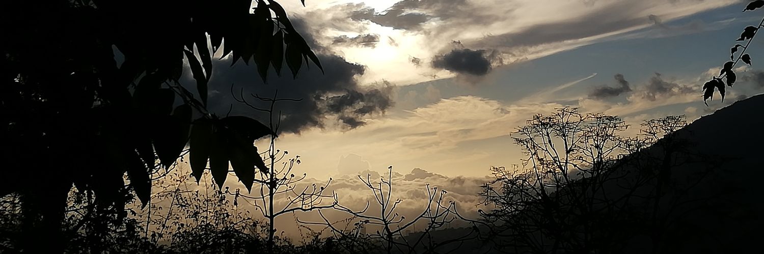 rufleruth's profile banner image