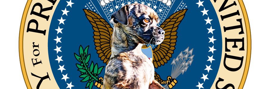 haveaskippyday banner