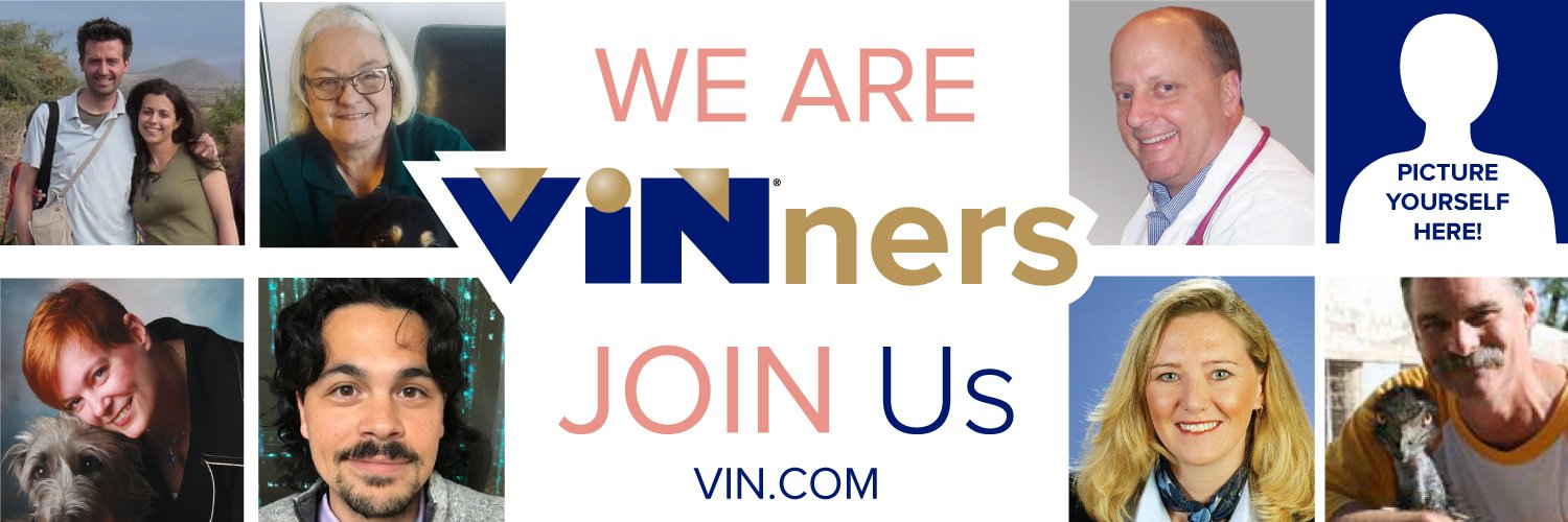 VINCommunity's profile banner image
