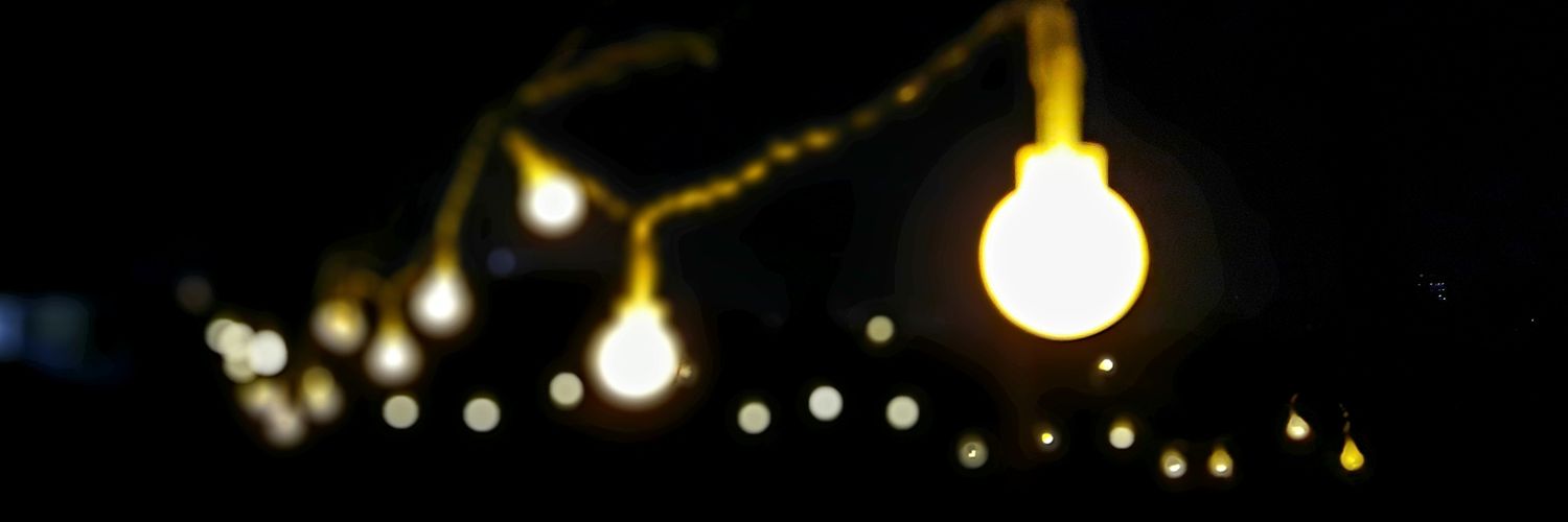 Delb. banner