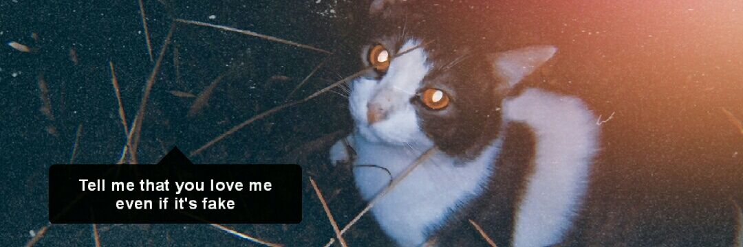 ITIM MITI rest banner