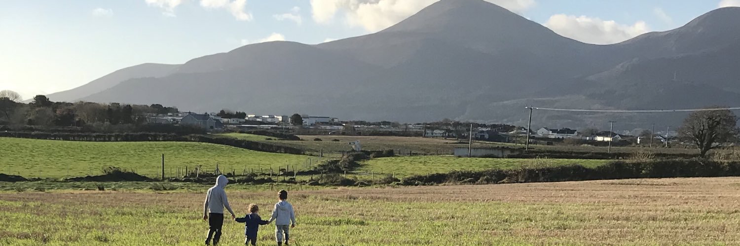 Stuart Anderson banner