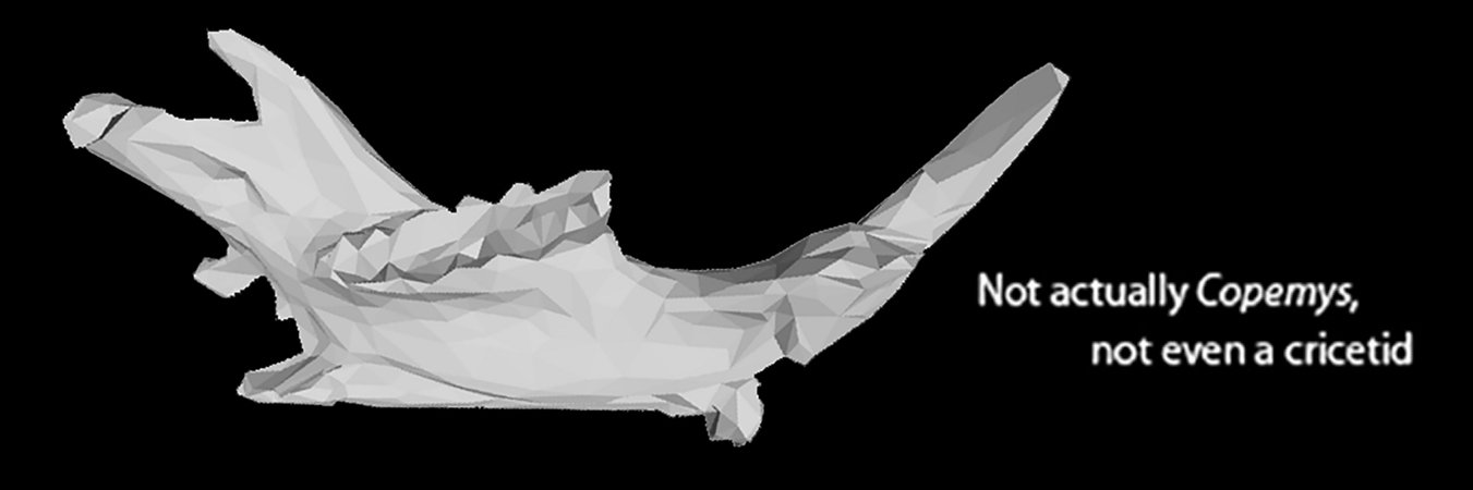 DocCopemys's profile banner image