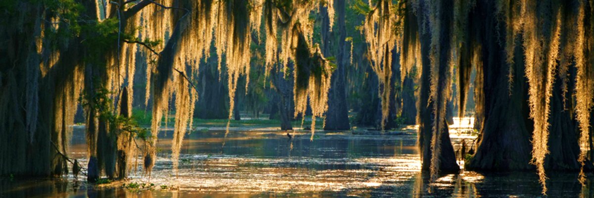 Cathy_BT's profile banner image