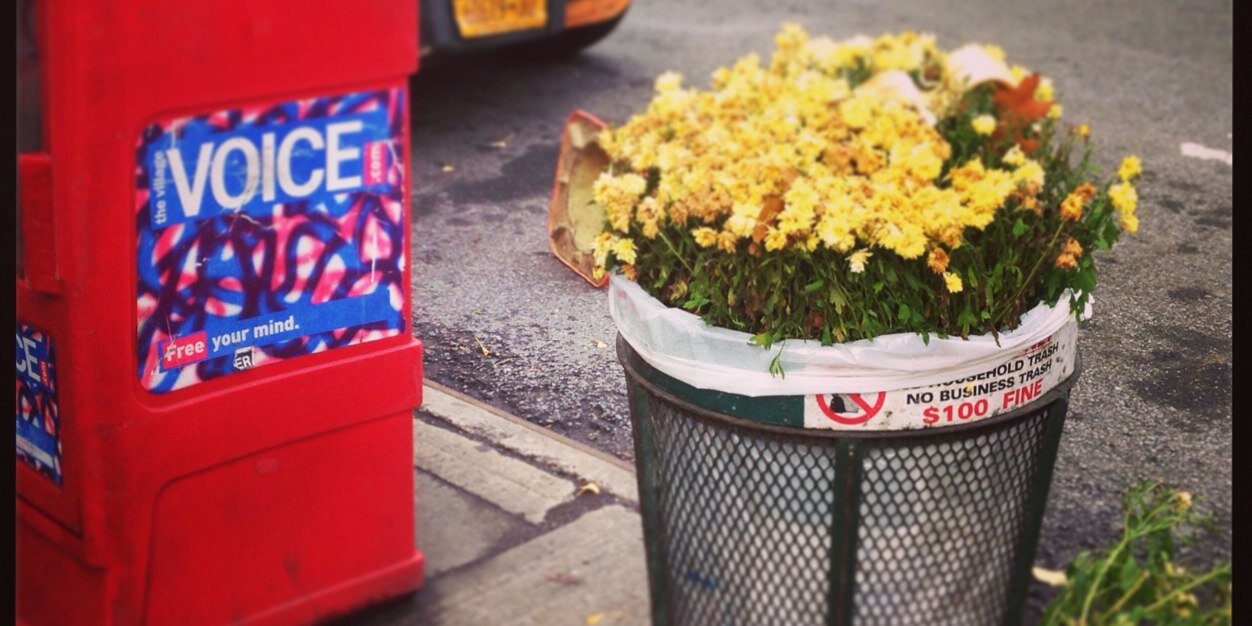 Ilana Feldman banner