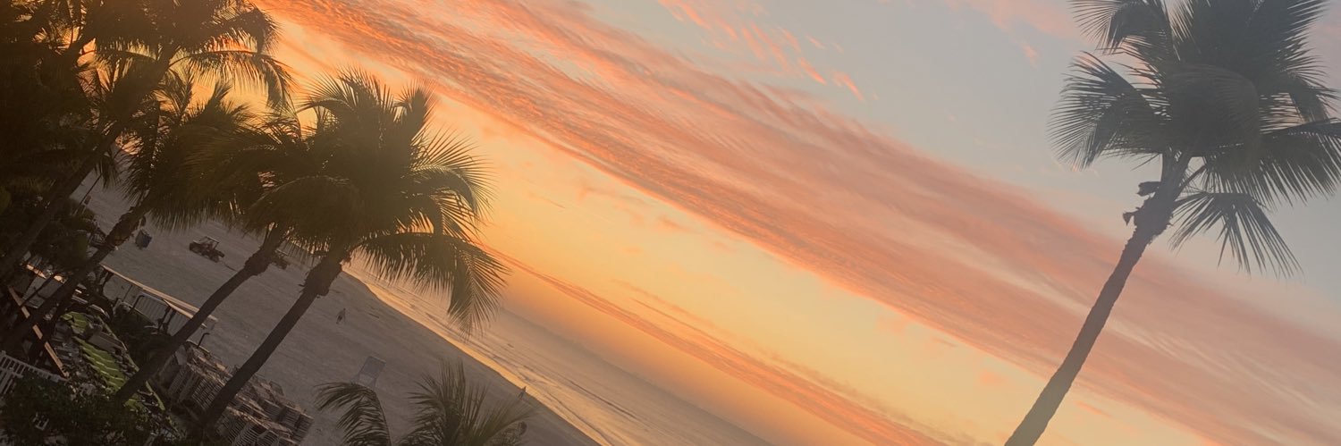 meganwheel3's profile banner image