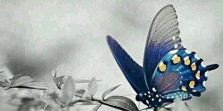 demi1431's profile banner image