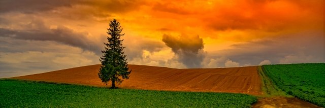 ikale_ponchi's profile banner image