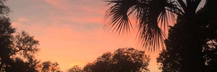 MalloryMGraham's profile banner image